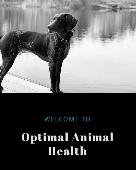 Optimal Animal Health Picture 7