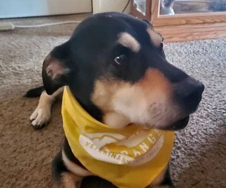 Front Range Veterinary Clinic