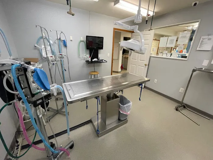 Front Range Veterinary Clinic Picture 8