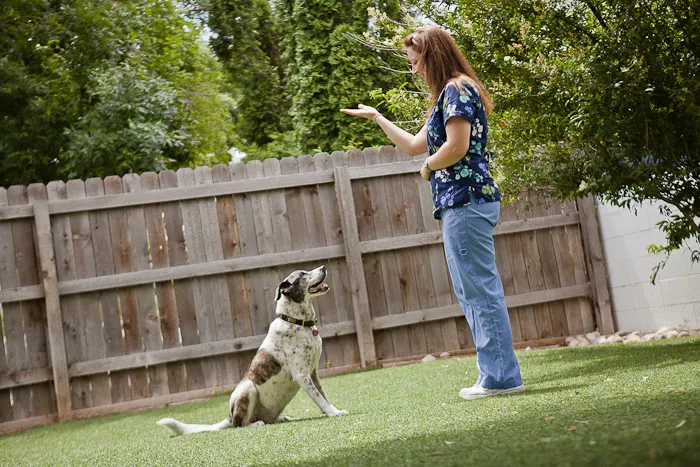 Aspen Grove Veterinary Care Picture 5