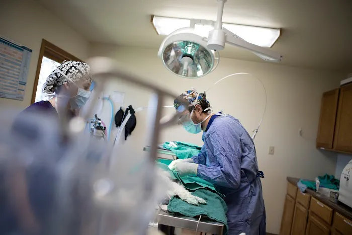 Aspen Grove Veterinary Care Picture 10