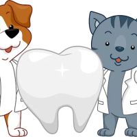 Pet Dental Wellness ico