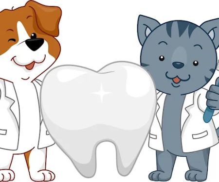 Pet Dental Wellness