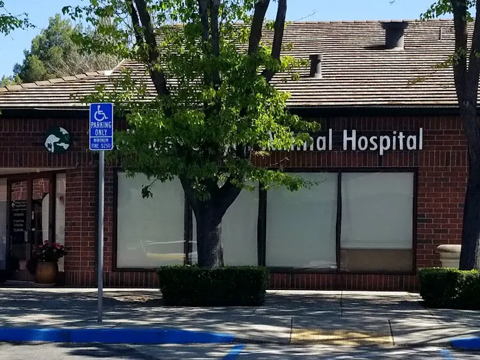 Bollinger Canyon Animal Hospital Picture 4