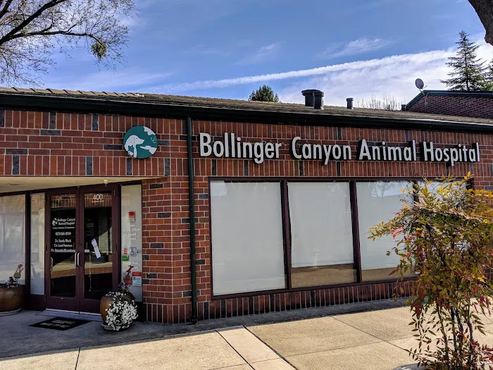 Bollinger Canyon Animal Hospital Picture 2
