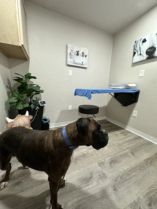 Ojala Family Pet Care Picture 4