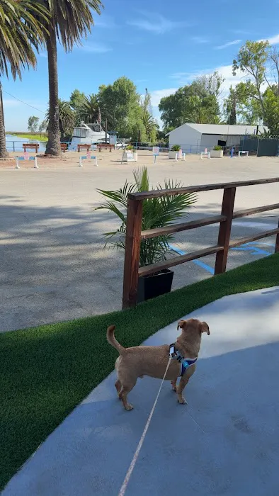 Ojala Family Pet Care Picture 3