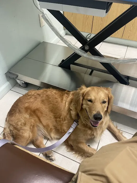 VCA Cypress Animal Hospital Picture 4