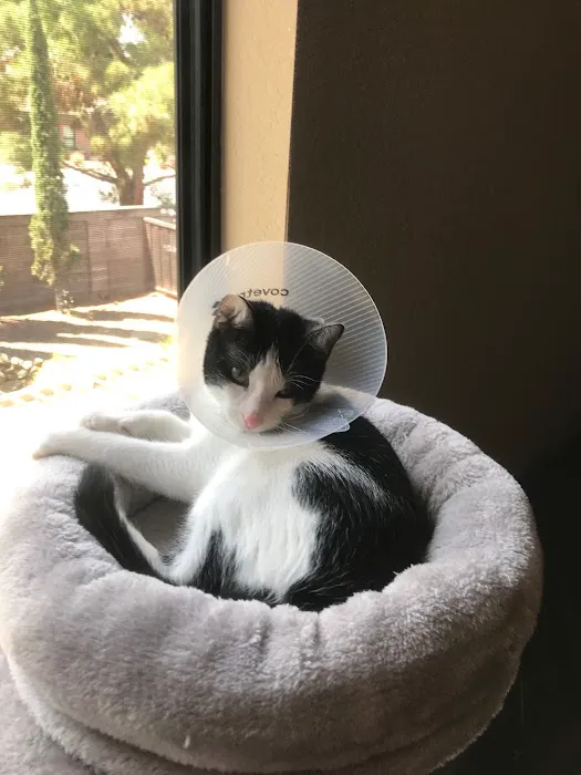 Vetco Total Care Animal Hospital Picture 1