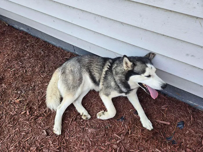 Vetco Total Care Animal Hospital Picture 8