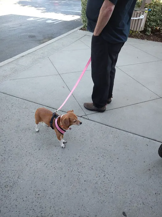Banfield Pet Hospital Picture 8