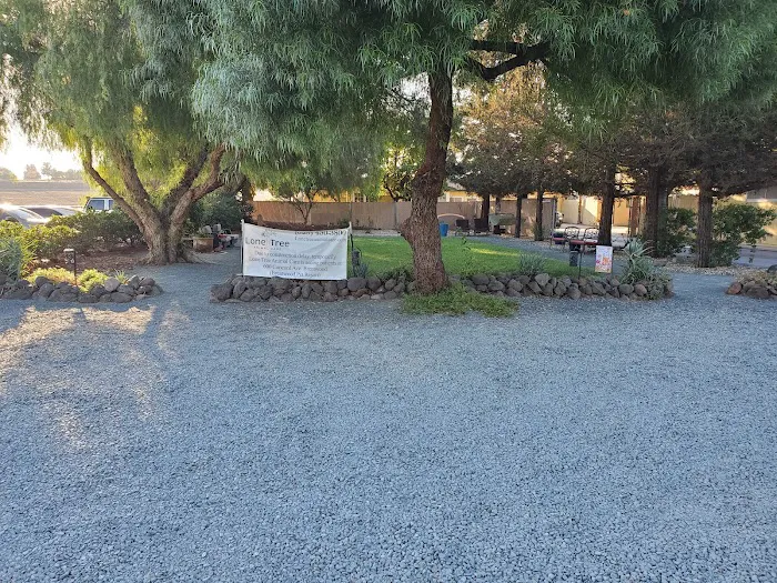 Lone Tree Animal Care Picture 7