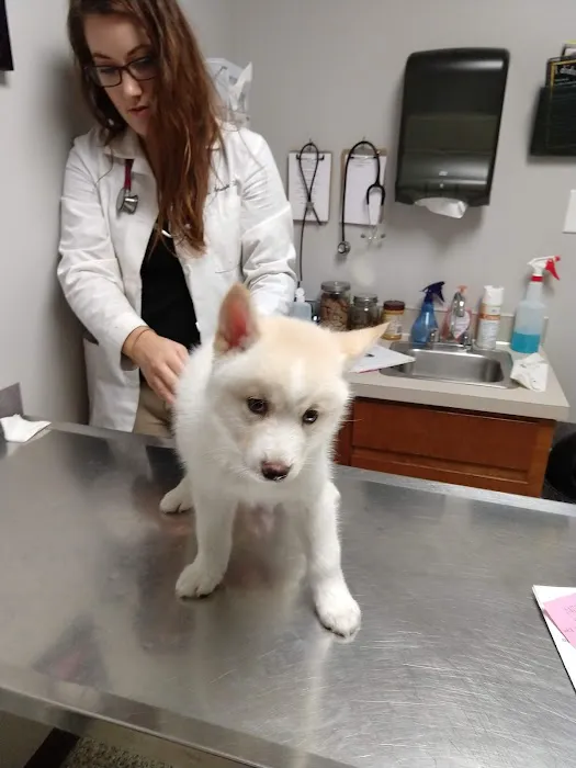 Hometown Veterinary Care in Byron Center Picture 4