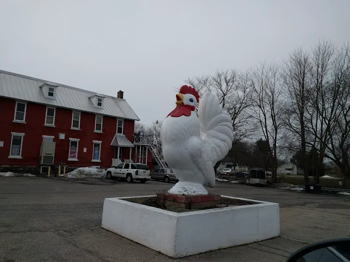 Hometown Veterinary Care in Byron Center Picture 7