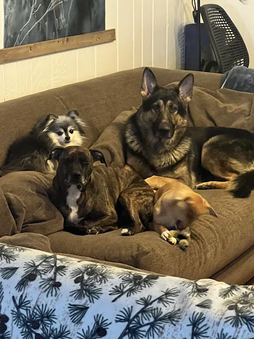 Byron Center Animal Hospital Picture 2