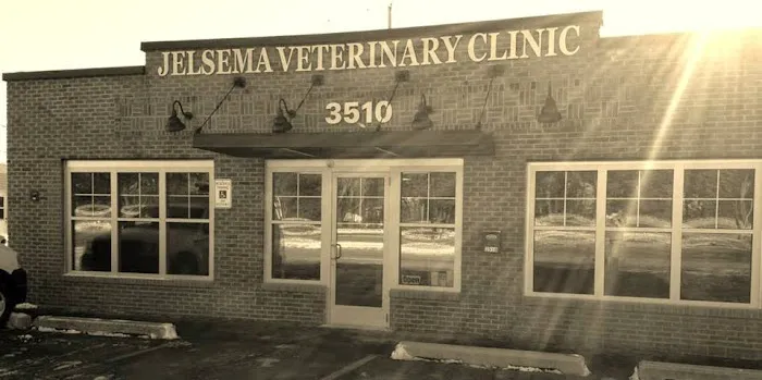 Jelsema Veterinary Clinic Picture 1