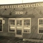 Jelsema Veterinary Clinic
