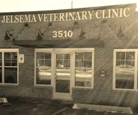 Jelsema Veterinary Clinic