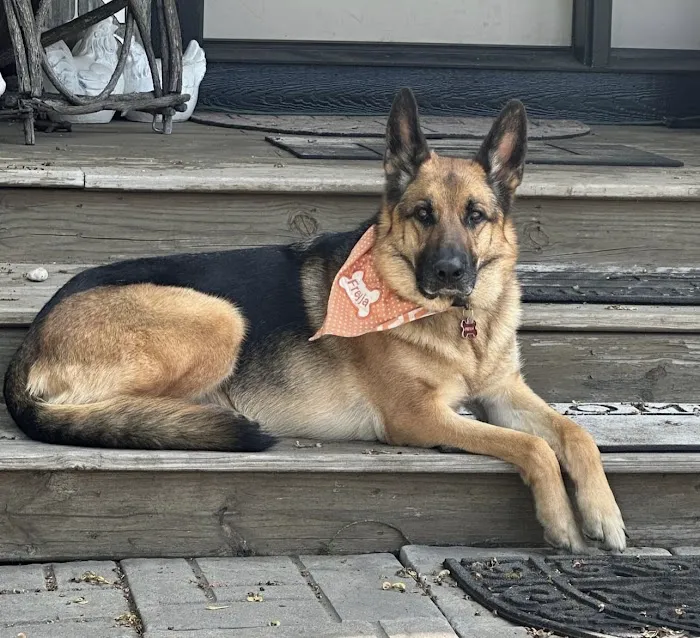 Jelsema Veterinary Clinic Picture 9