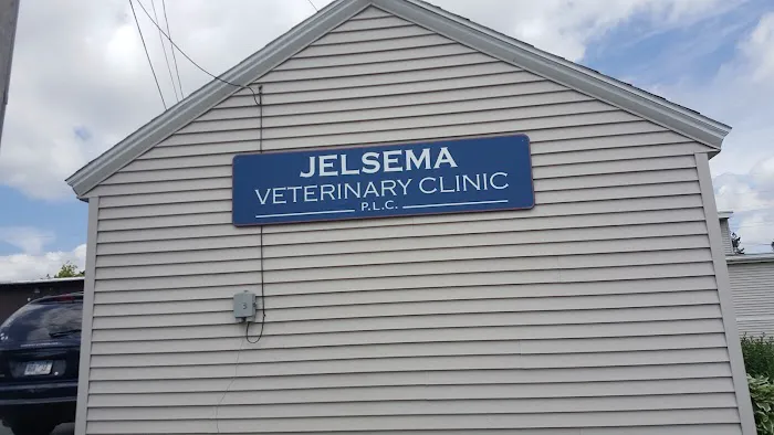 Jelsema Veterinary Clinic Picture 7