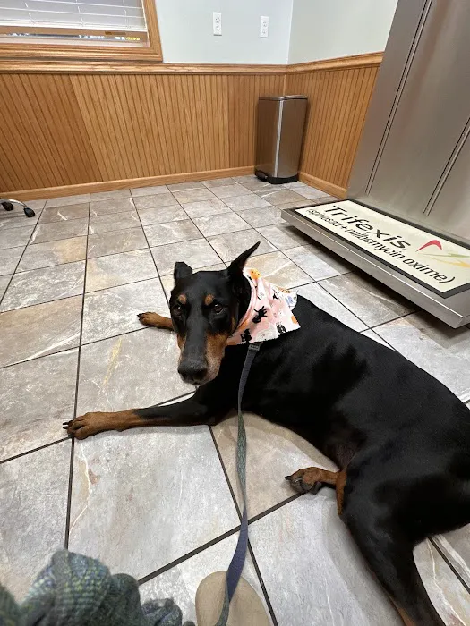 Howard City Veterinary Services Picture 10