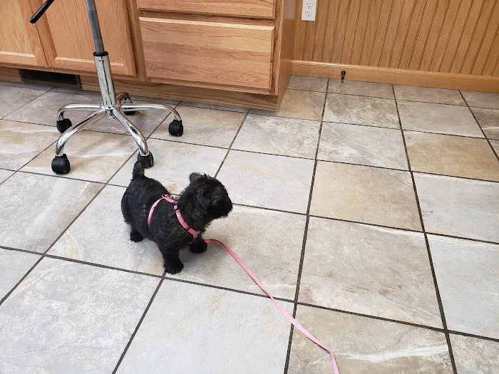 Howard City Veterinary Services Picture 7