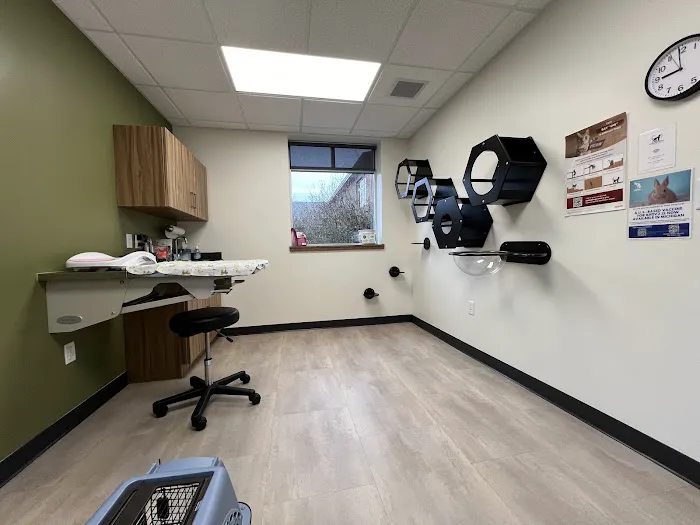 Wholehearted Veterinary Care Picture 3