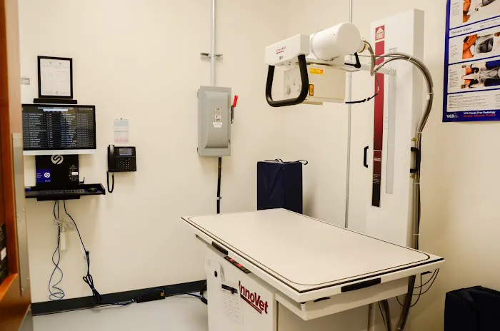 VCA Knapp's Corner Animal Hospital Picture 2