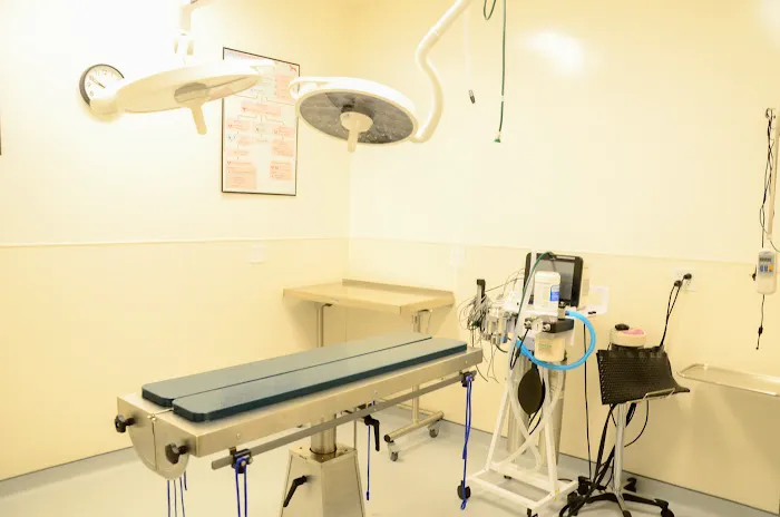 VCA Knapp's Corner Animal Hospital Picture 3