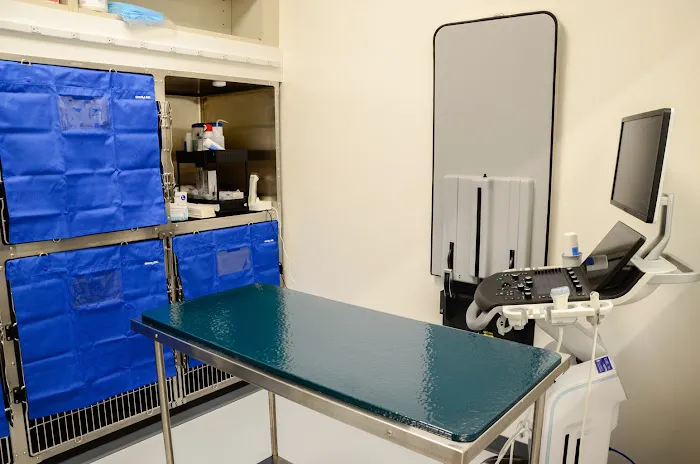 VCA Knapp's Corner Animal Hospital Picture 5