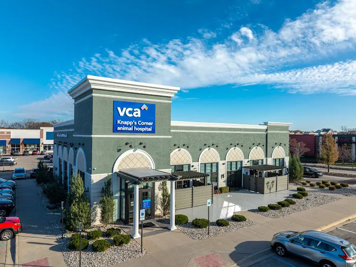 VCA Knapp's Corner Animal Hospital Picture 8