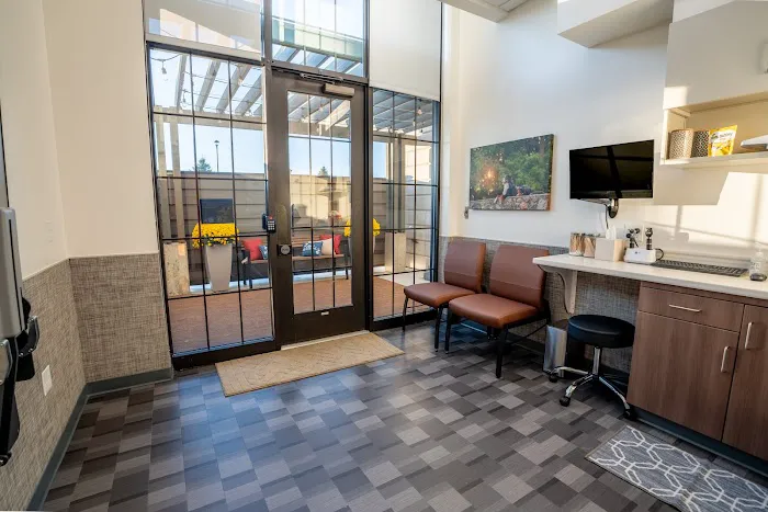 VCA Knapp's Corner Animal Hospital Picture 9