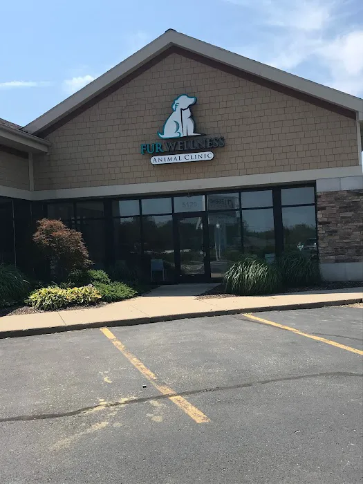 Fur Wellness Animal Clinic Picture 2