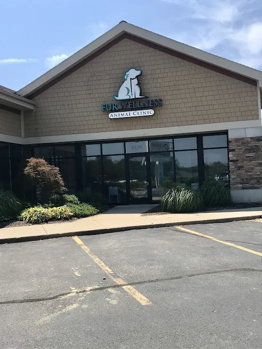 Fur Wellness Animal Clinic Picture 8