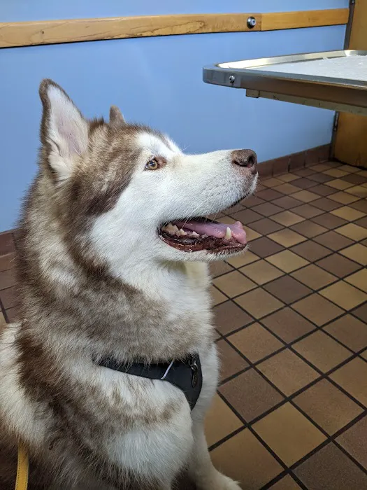 Great Lakes Hospital for Animals Picture 7