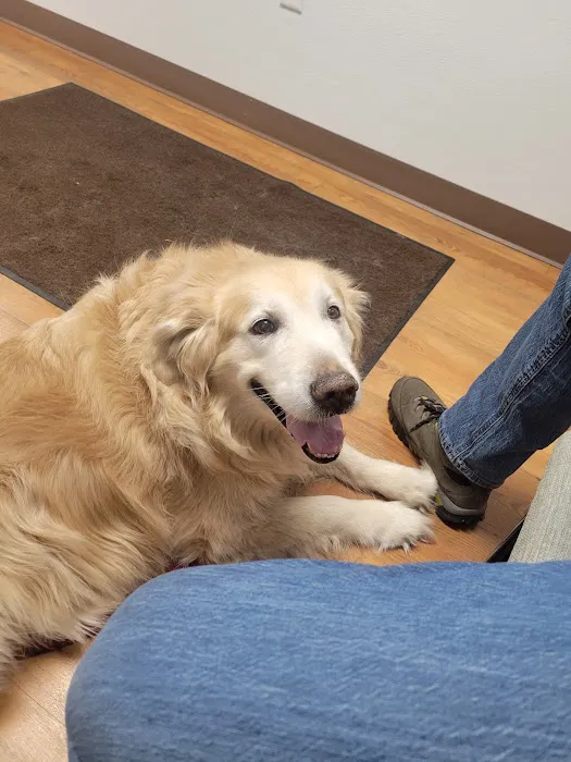 Grand Rapids Vet Clinic Picture 3
