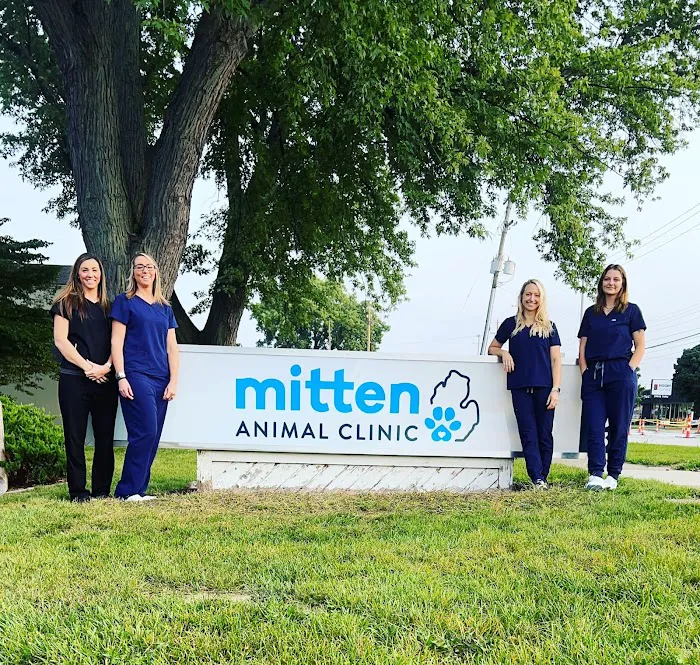 Mitten Animal Clinic | M.A.C Picture 6