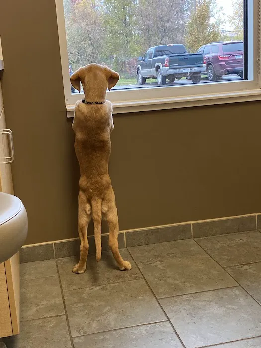 VCA Woodland Animal Hospital Picture 8