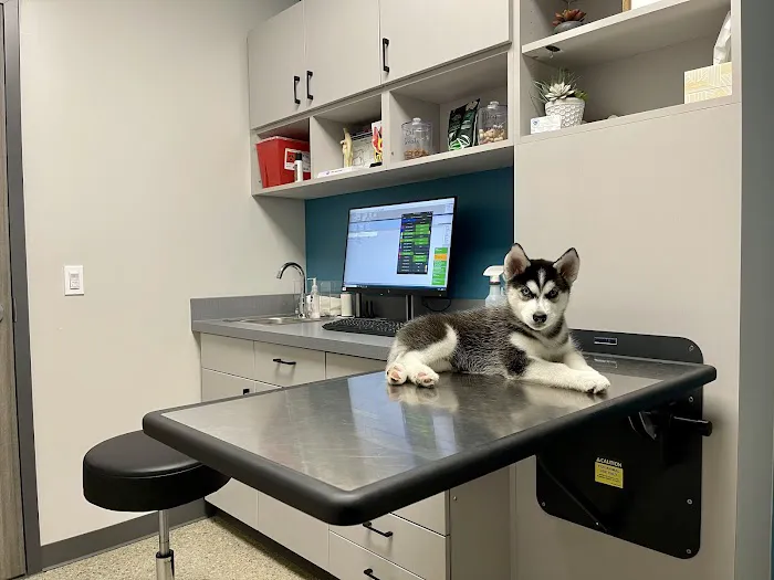 Plymouth Road Animal Clinic Picture 1