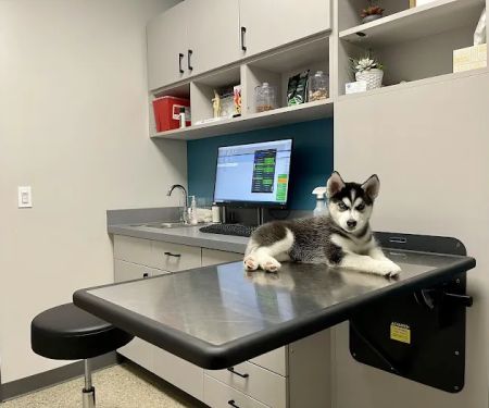 Plymouth Road Animal Clinic
