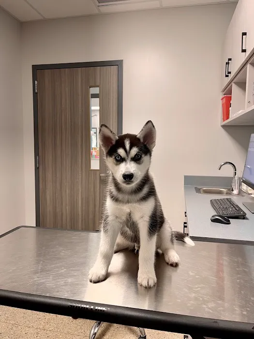 Plymouth Road Animal Clinic Picture 2