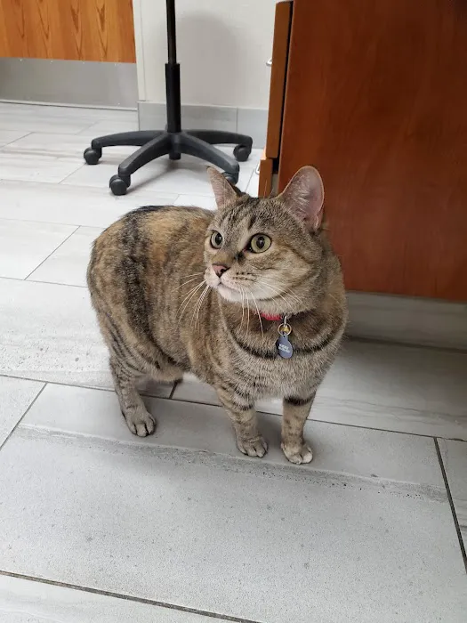 Breton Village Animal Clinic Picture 7