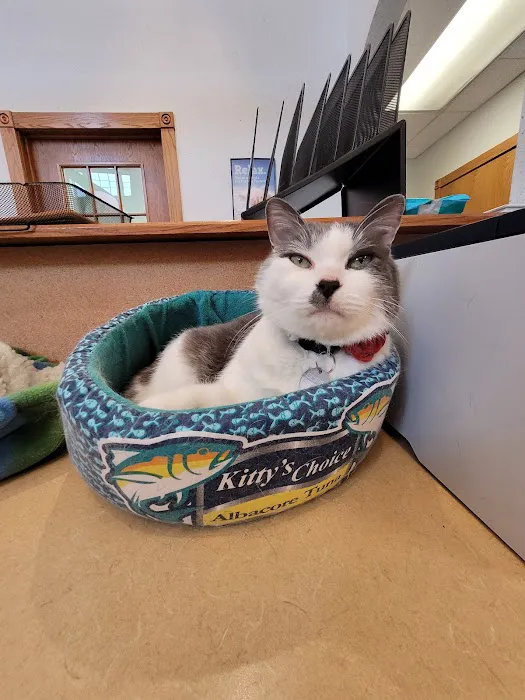Kentwood Cat Clinic Picture 1