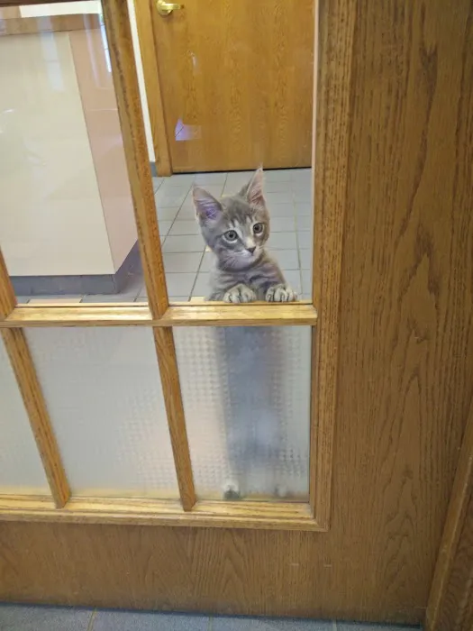 Kentwood Cat Clinic Picture 5