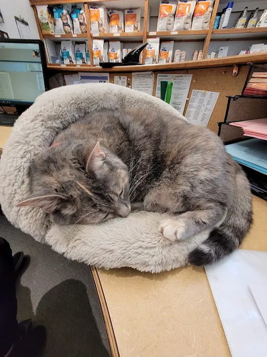 Kentwood Cat Clinic Picture 2
