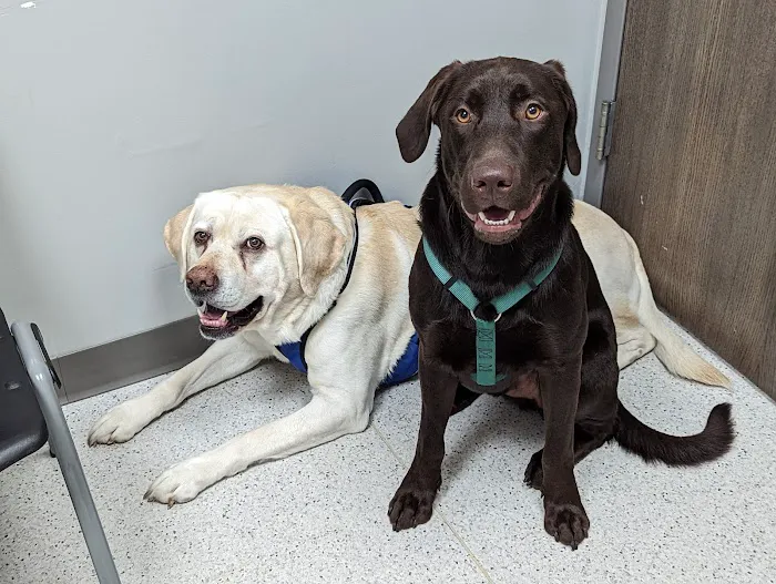 Sparta Animal Clinic Picture 1