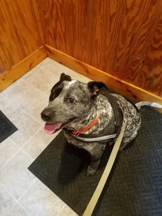 Oak Grove Veterinary Clinic Picture 10