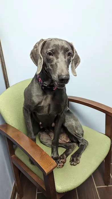 Healthy Acres Veterinary Clinic Picture 4