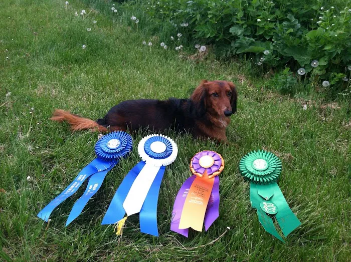 Healthy Acres Veterinary Clinic Picture 10