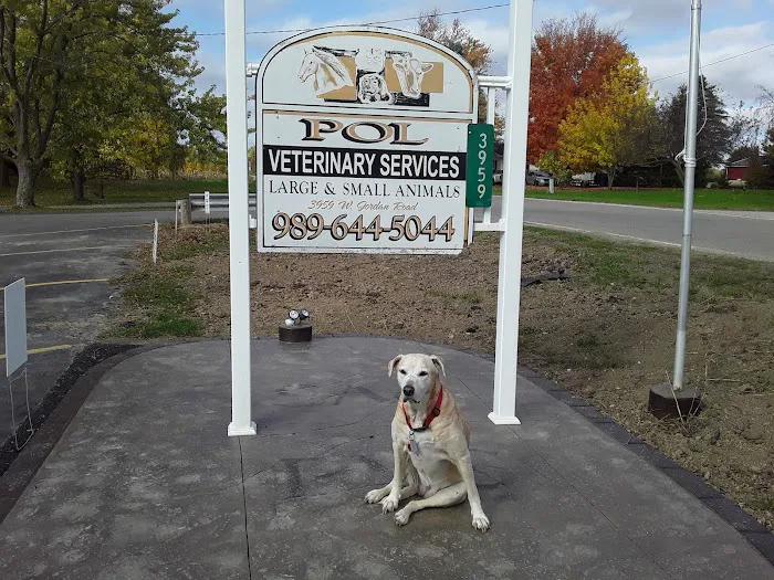 Pol Veterinary Services Picture 9